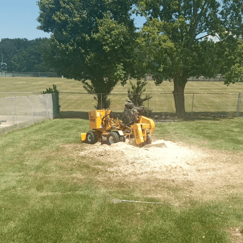 Stump Grinding
